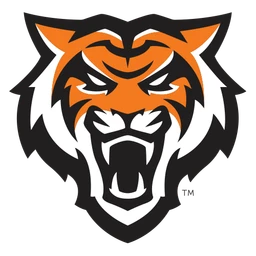Bengals image