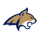 Bobcats team logo