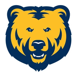 Bears image