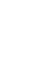Tottenham Hotspur FC team logo