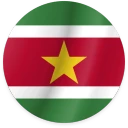 Suriname team logo