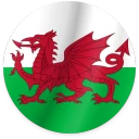 Wales team logo