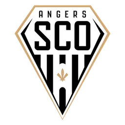 Angers image