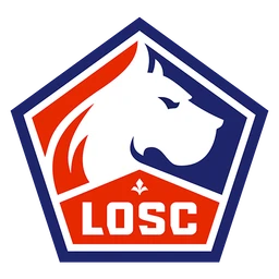 Lille image