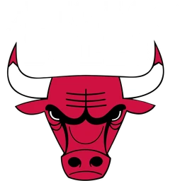 Bulls image