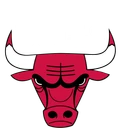 Bulls team logo