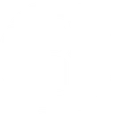 Nets team logo