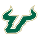 Bulls team logo