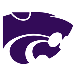 Wildcats image
