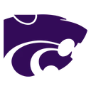 Wildcats team logo