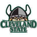 Vikings team logo