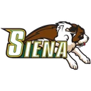 Saints team logo