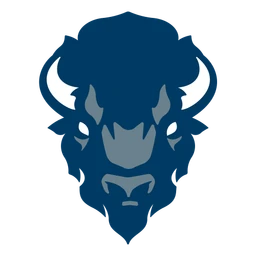 Bison