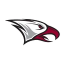 Eagles team logo