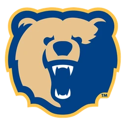 Bears image