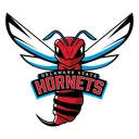 Hornets team logo