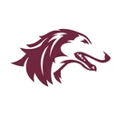 Salukis team logo