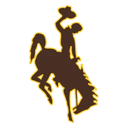 Cowboys image