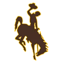 Cowboys team logo