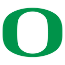 Ducks team logo