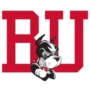 Terriers team logo