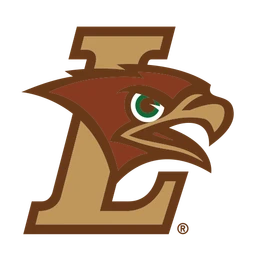 Mountain Hawks