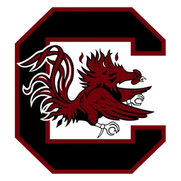 Gamecocks image