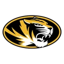 Tigers team logo