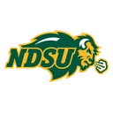 Bison team logo
