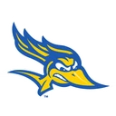 Roadrunners team logo
