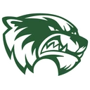 Wolverines team logo