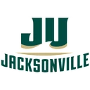 Dolphins team logo
