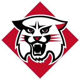 Wildcats image