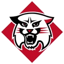 Wildcats team logo