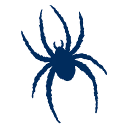 Spiders