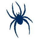 Spiders team logo