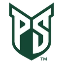 Vikings team logo