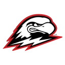 Thunderbirds team logo