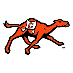 Fighting Camels