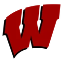 Badgers team logo