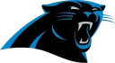 Panthers team logo