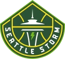 Storm team logo