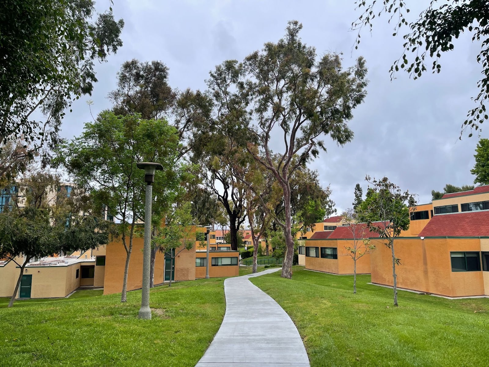 Middle Earth Classics