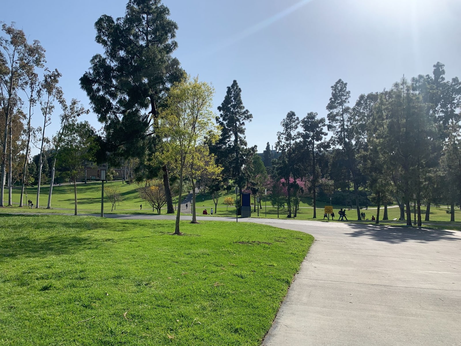 Guide to UC Irvine's Dorms