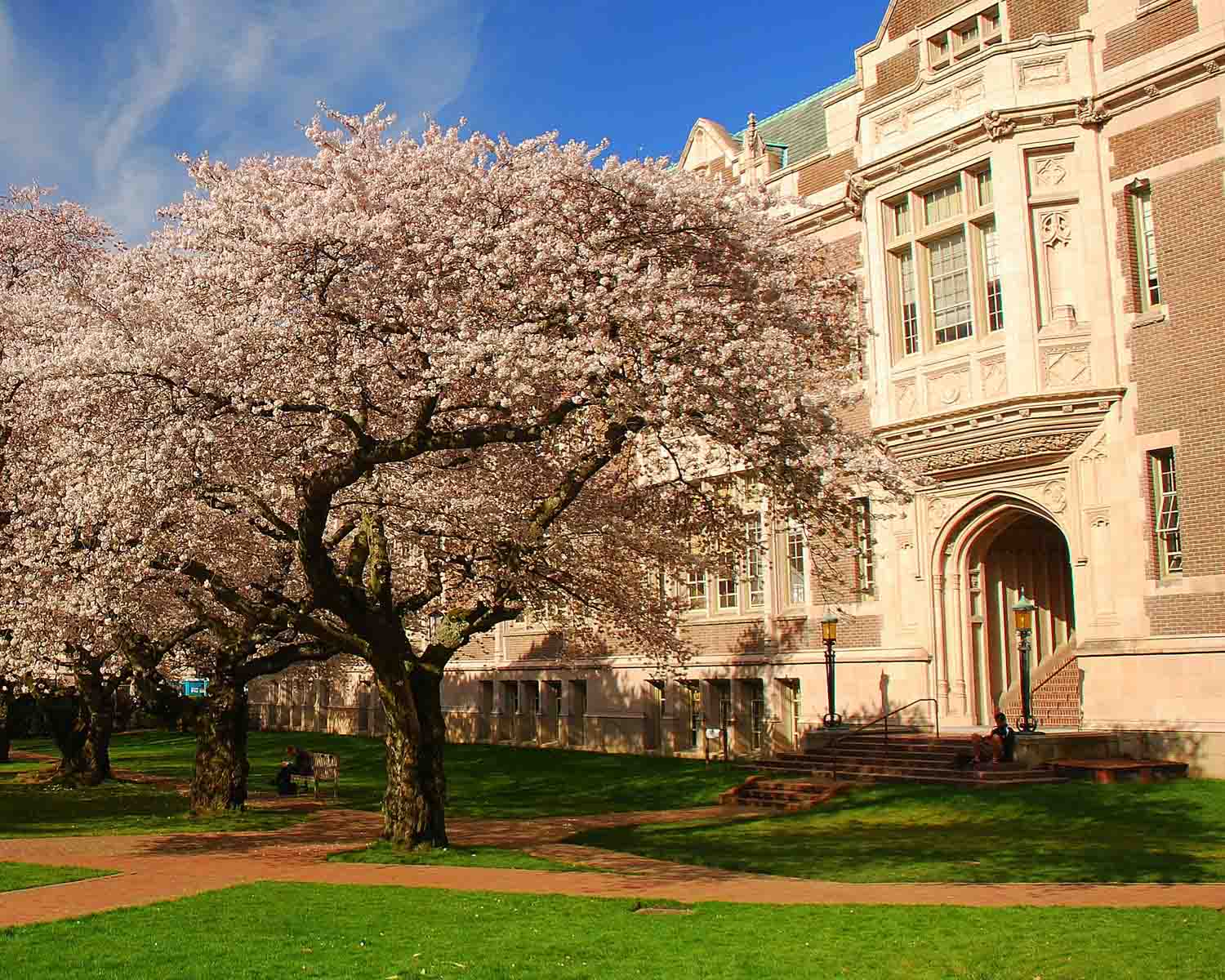 University of Washington