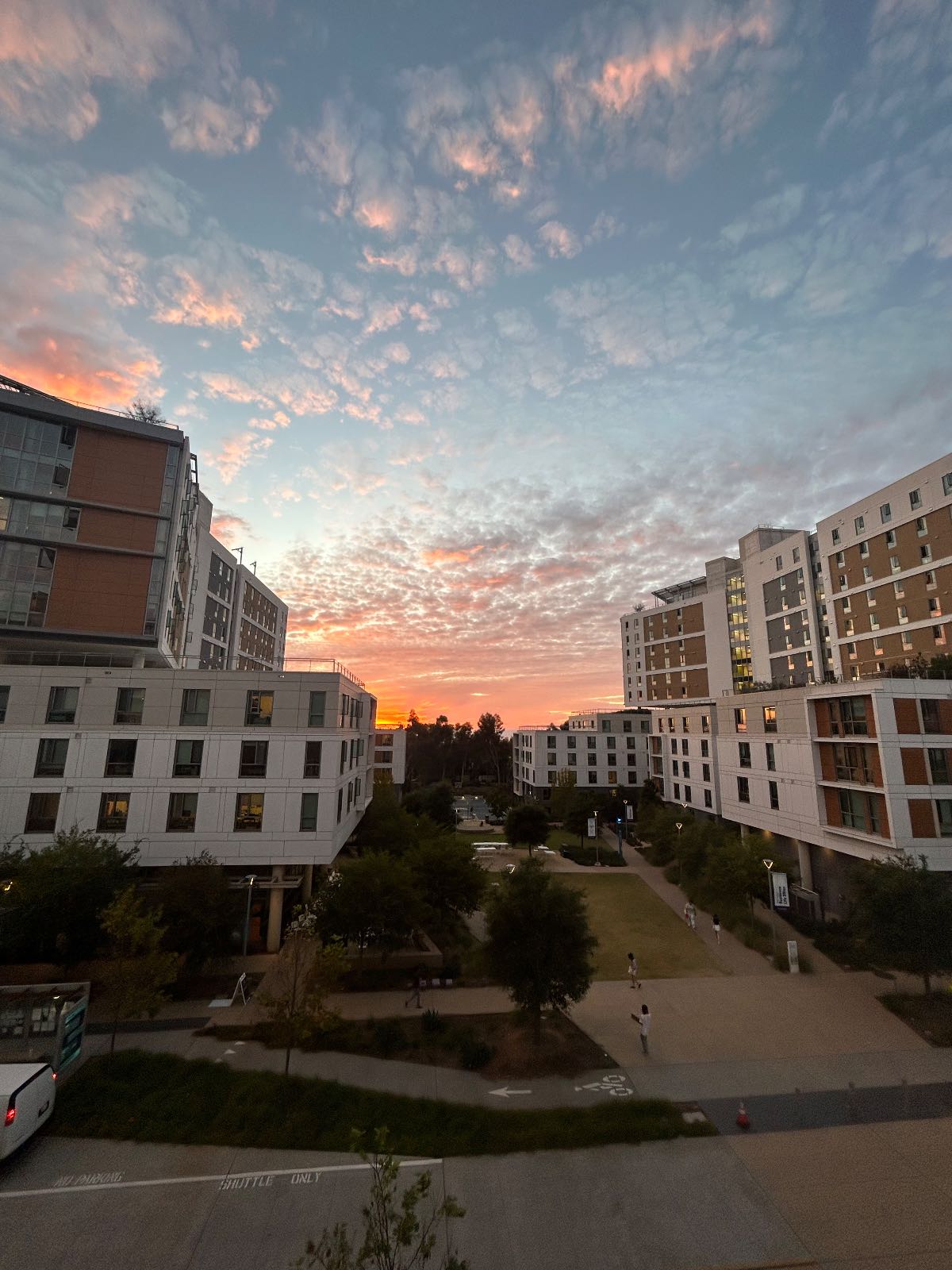 UC San Diego