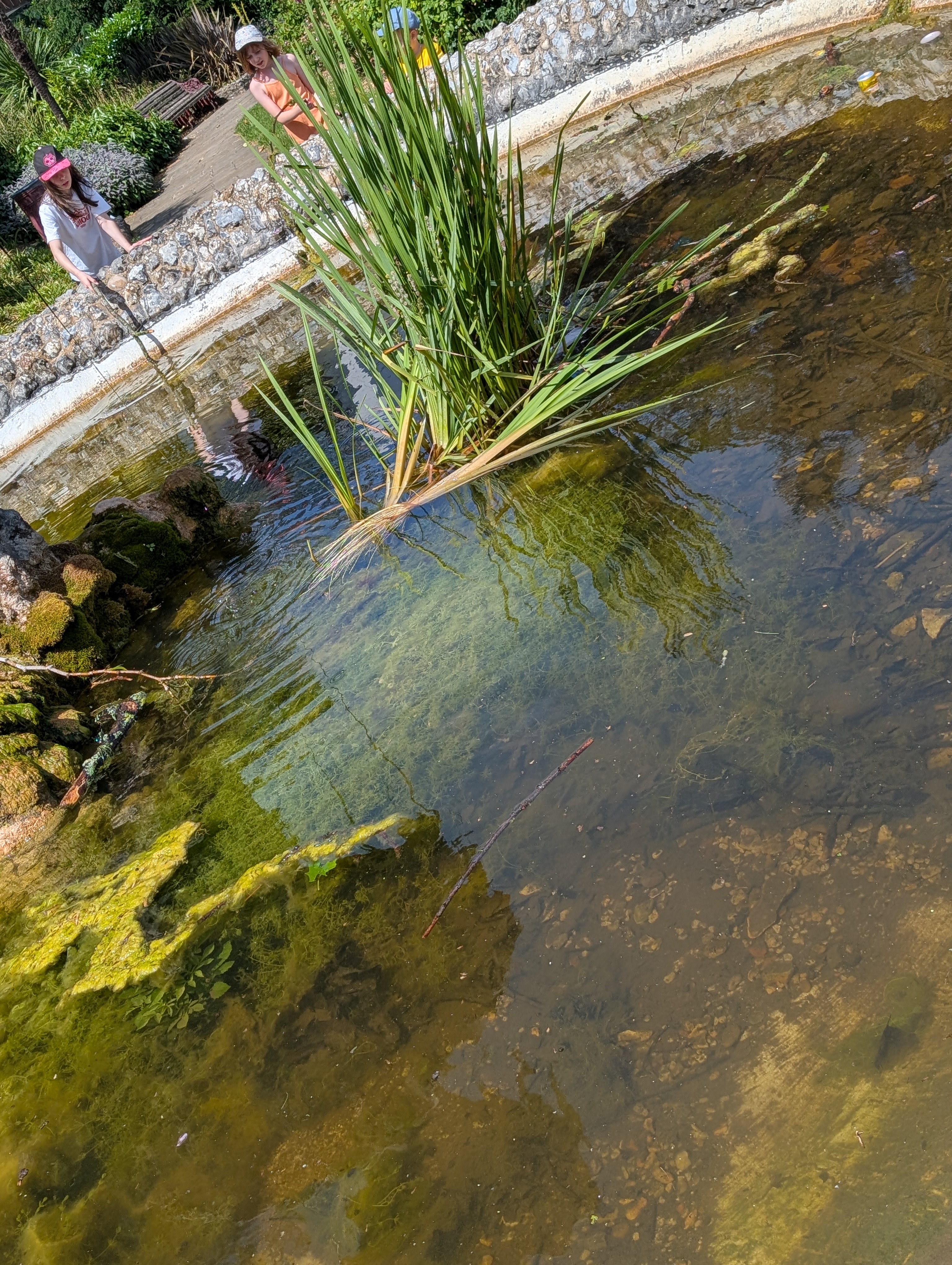 A puddle