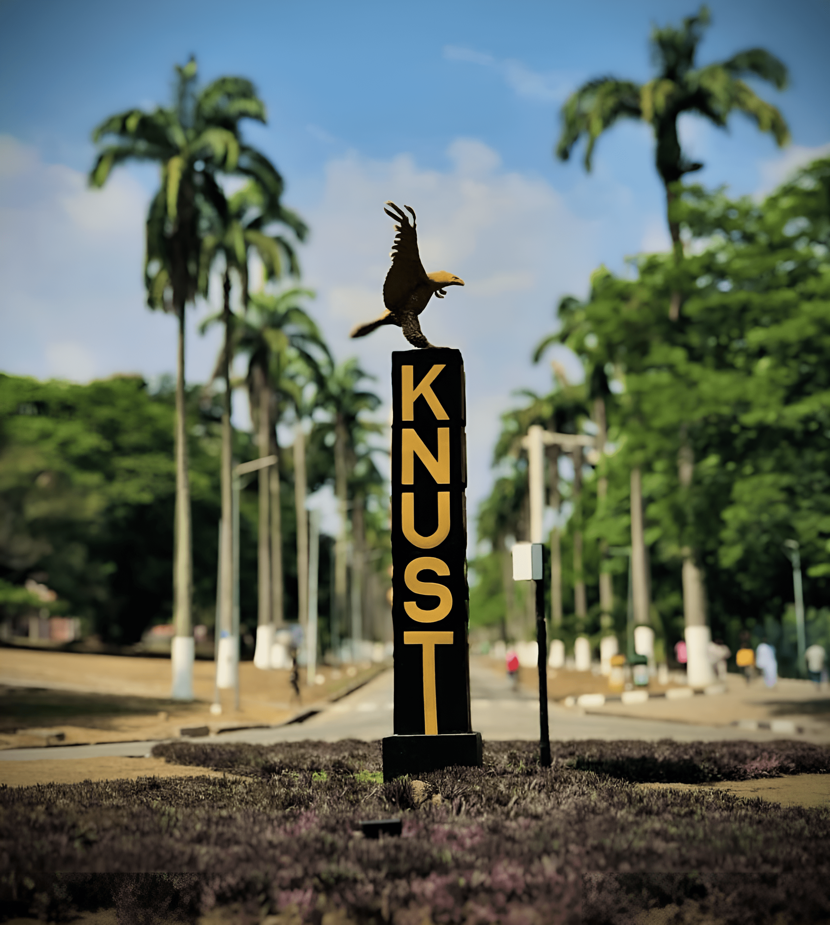 KNUST, is a Well Known University in Ghana. How Do You Feel About the School?