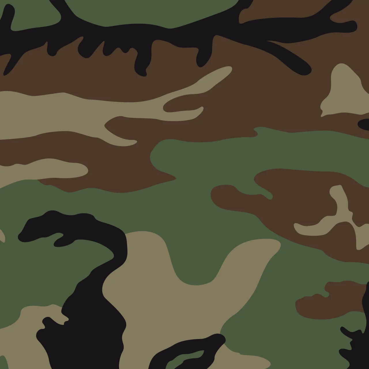 Tactical position on Alaska