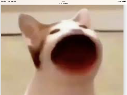 Klien
